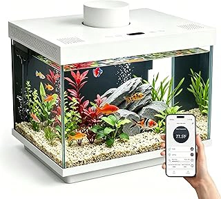 2 Gallon Smart Glass Aquarium Starter Kit with Auto Feeder and App Control