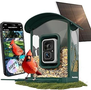 Solar Powered AI Smart Bird Feeder with 4K Camera and Wi-Fi