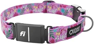 Stunt Puppy Dog Collar, Fi Series 3 and 3+ Ready, Frolic Summer